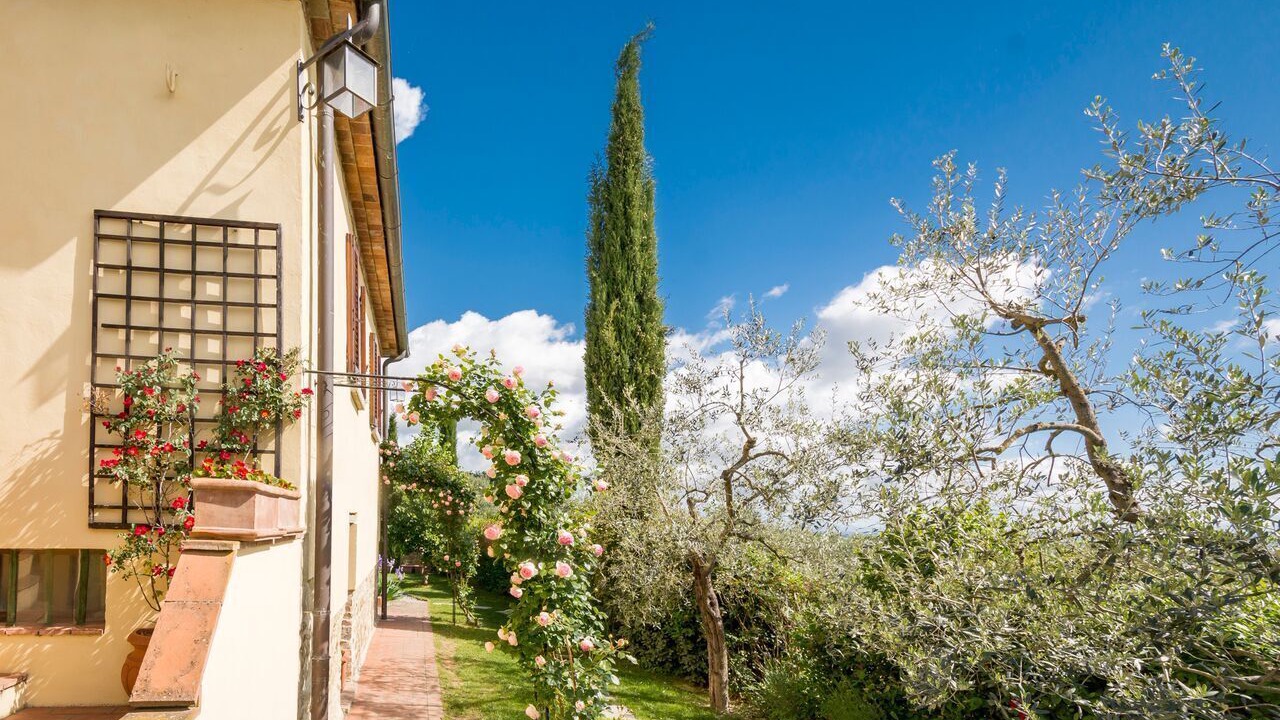 Photo of Outdoor in Monte San Savino