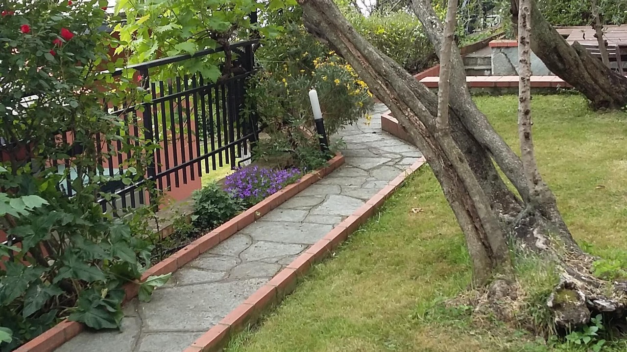 Photo of Outdoor in Recco