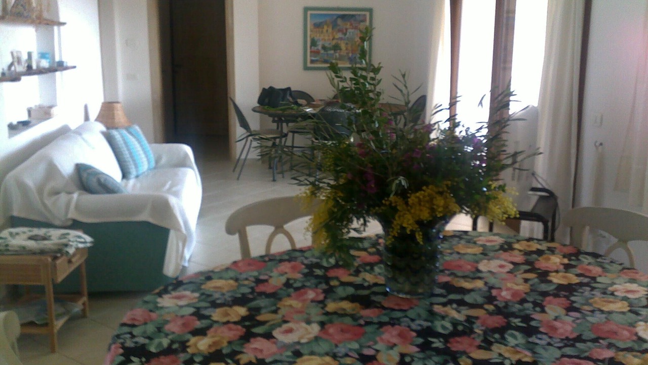 Photo of Others in San Teodoro
