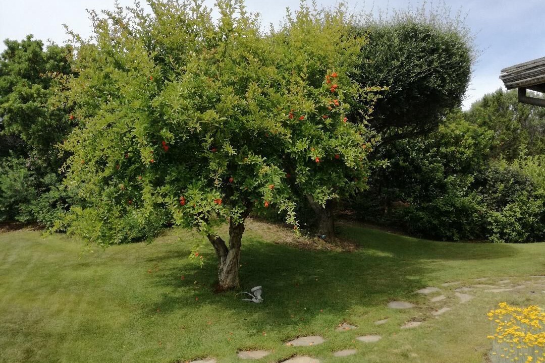 Photo of Outdoor in San Teodoro