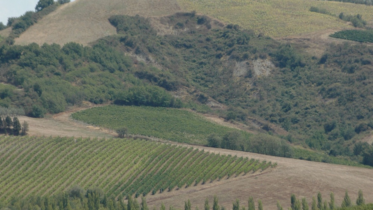Photo of Outdoor in Castel Viscardo