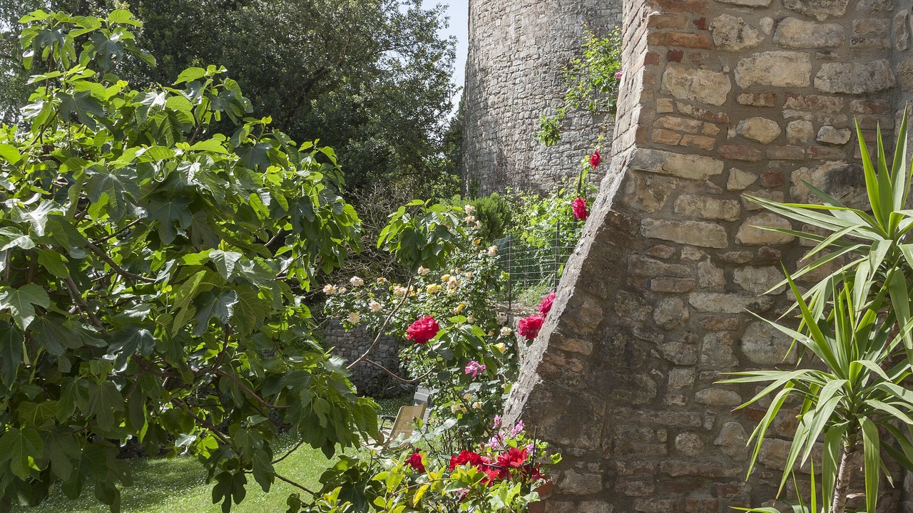 Photo of Others in Todi