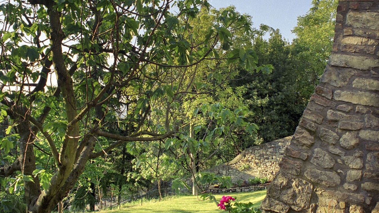 Photo of Outdoor in Todi