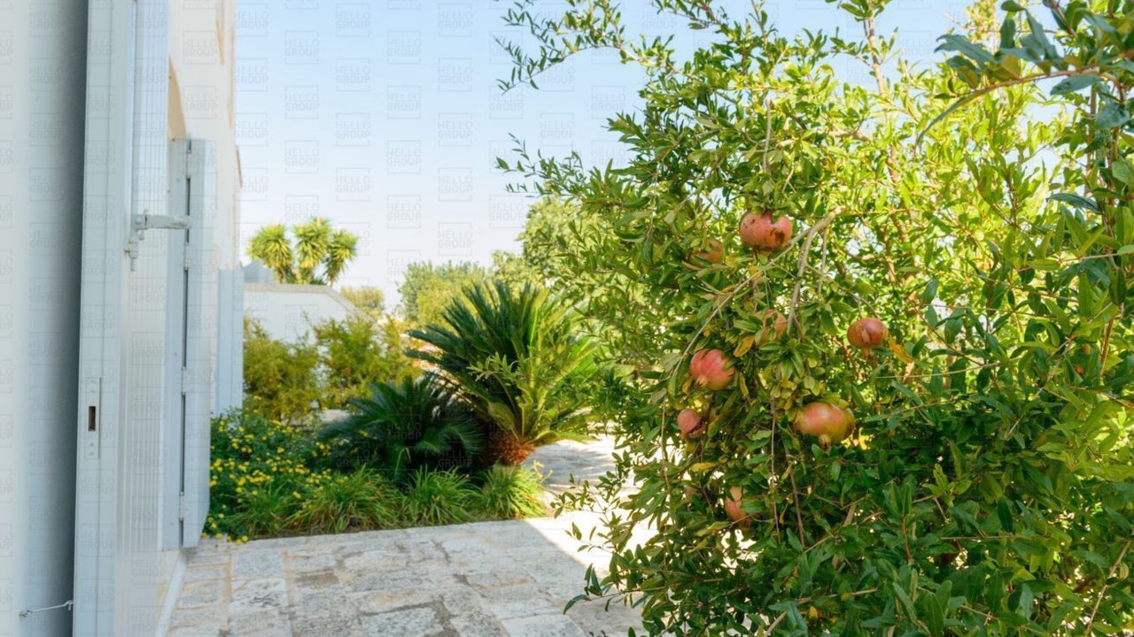 Photo of Outdoor in Monopoli