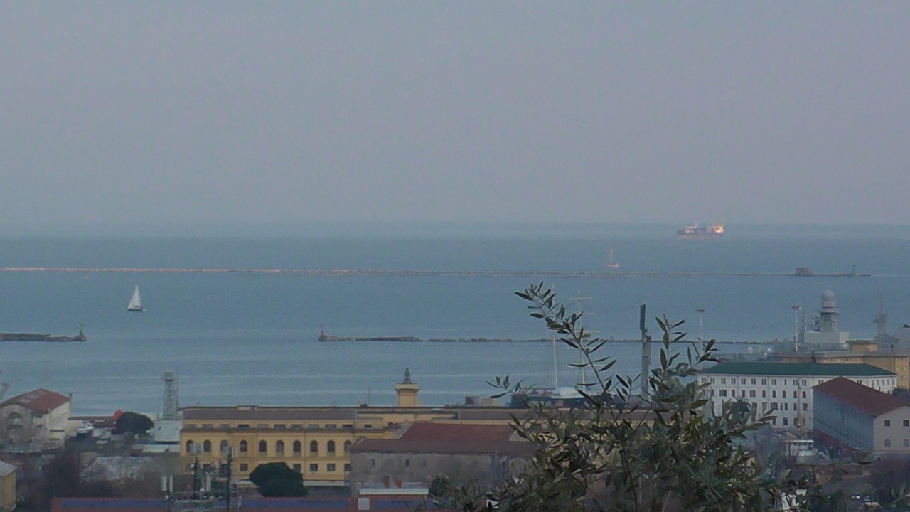 Photo of Others in La Spezia