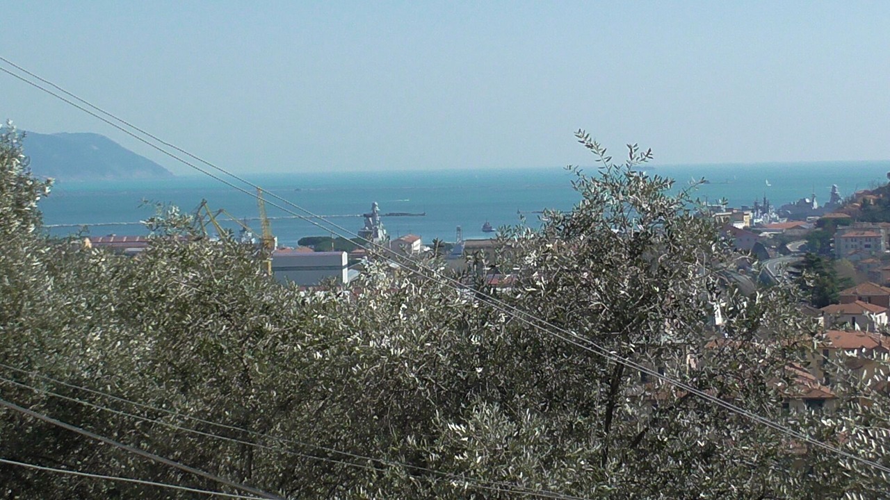 Photo of Others in La Spezia