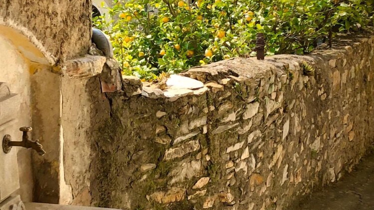 Photo of Outdoor in Gazzelli