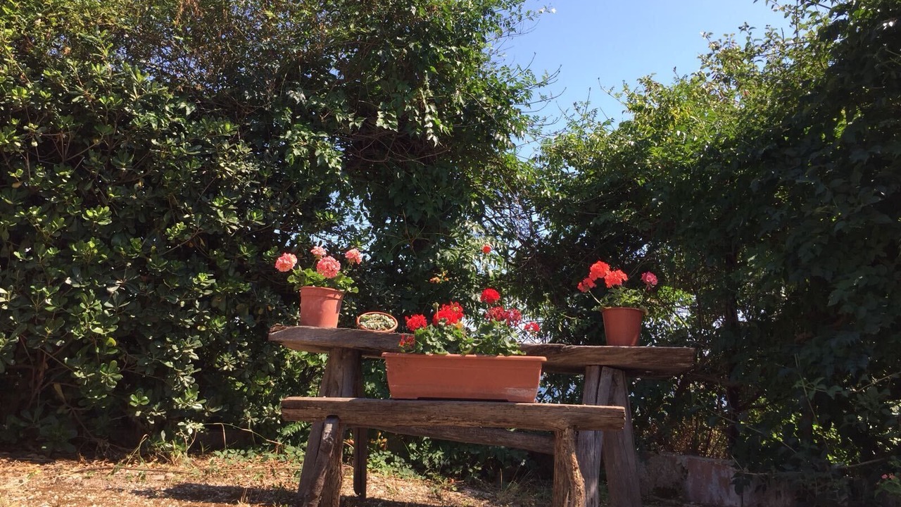 Photo of Outdoor in Taranto