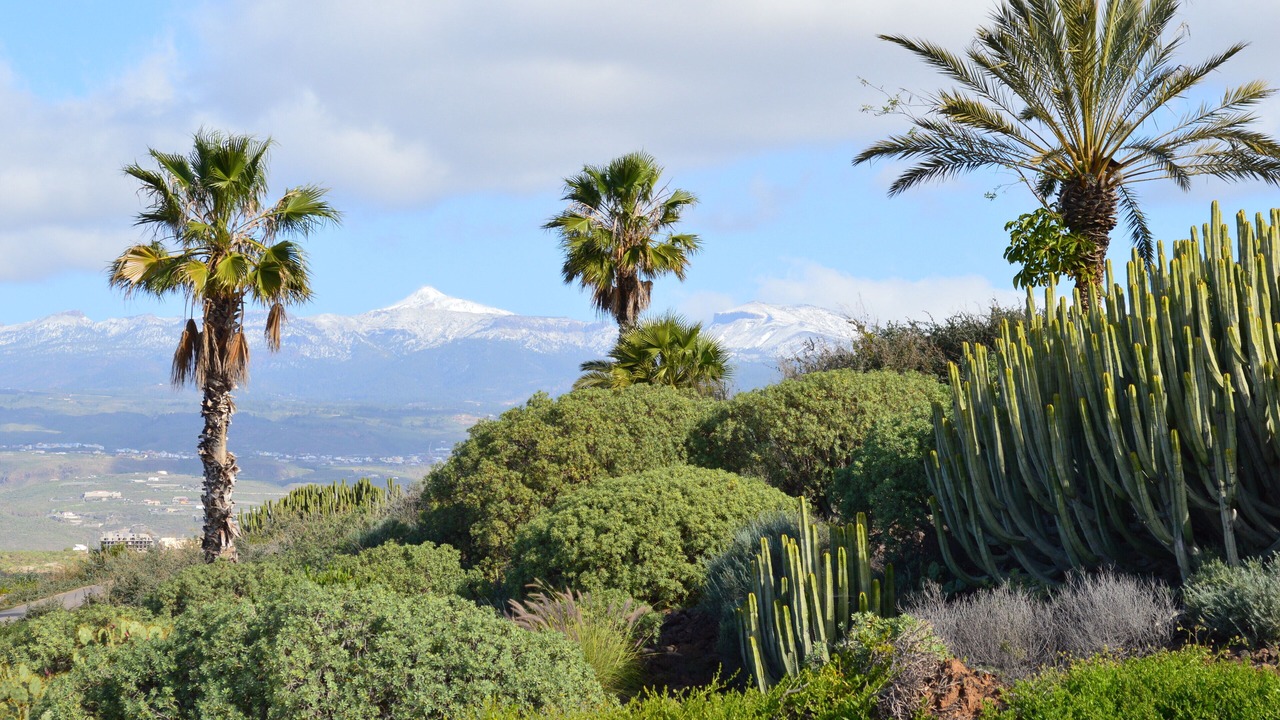 Photo of Outdoor in San Miguel de Abona
