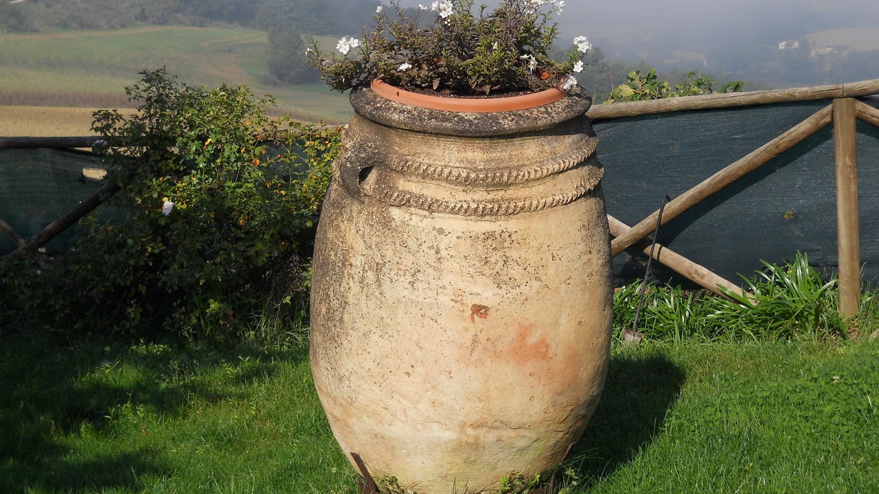 Photo of Outdoor in Loreto