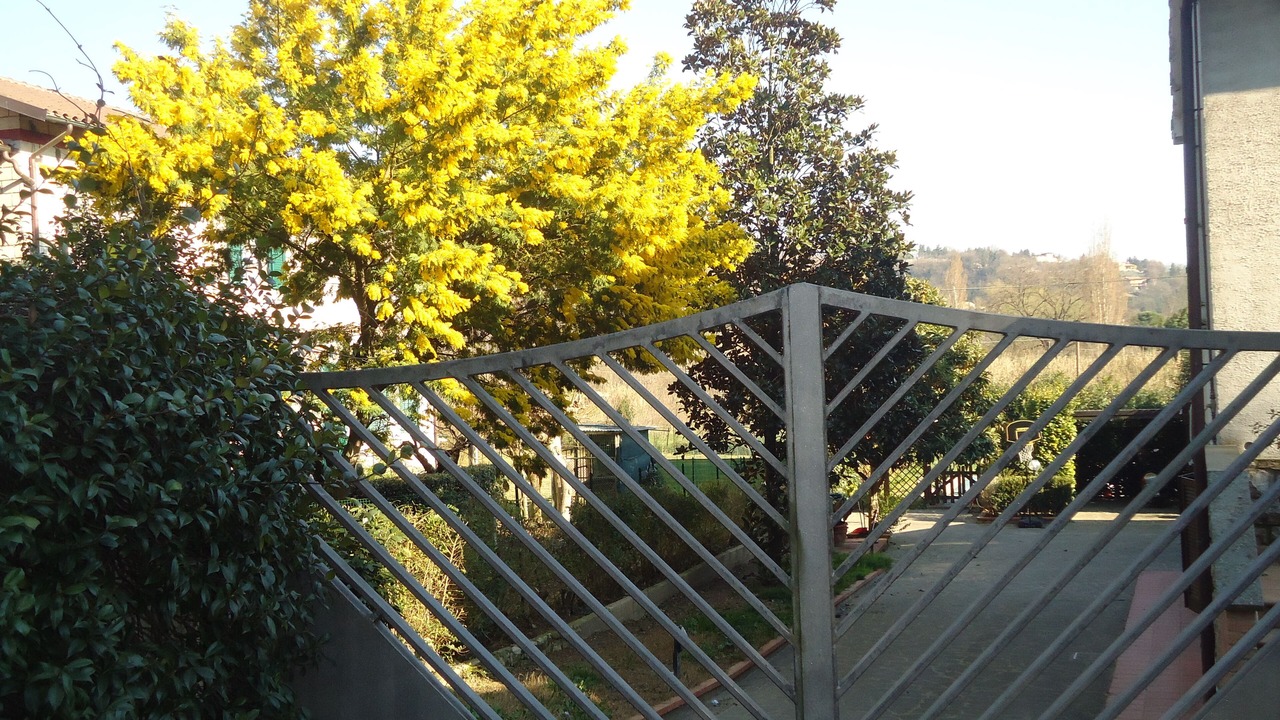 Photo of Outdoor in Ponte Felcino