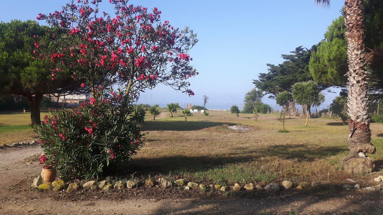 Photo of Outdoor in Zahora