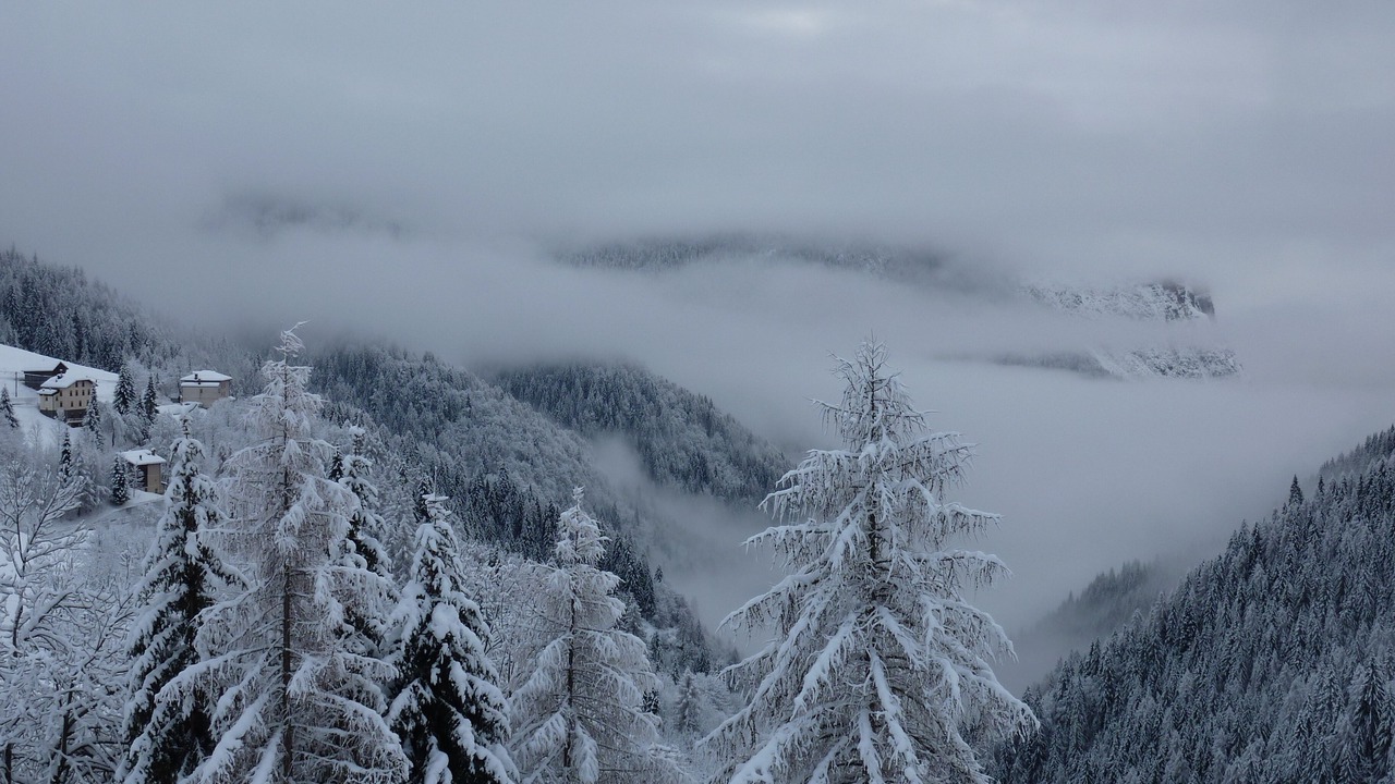 Photo of Outdoor in Zoppe di Cadore