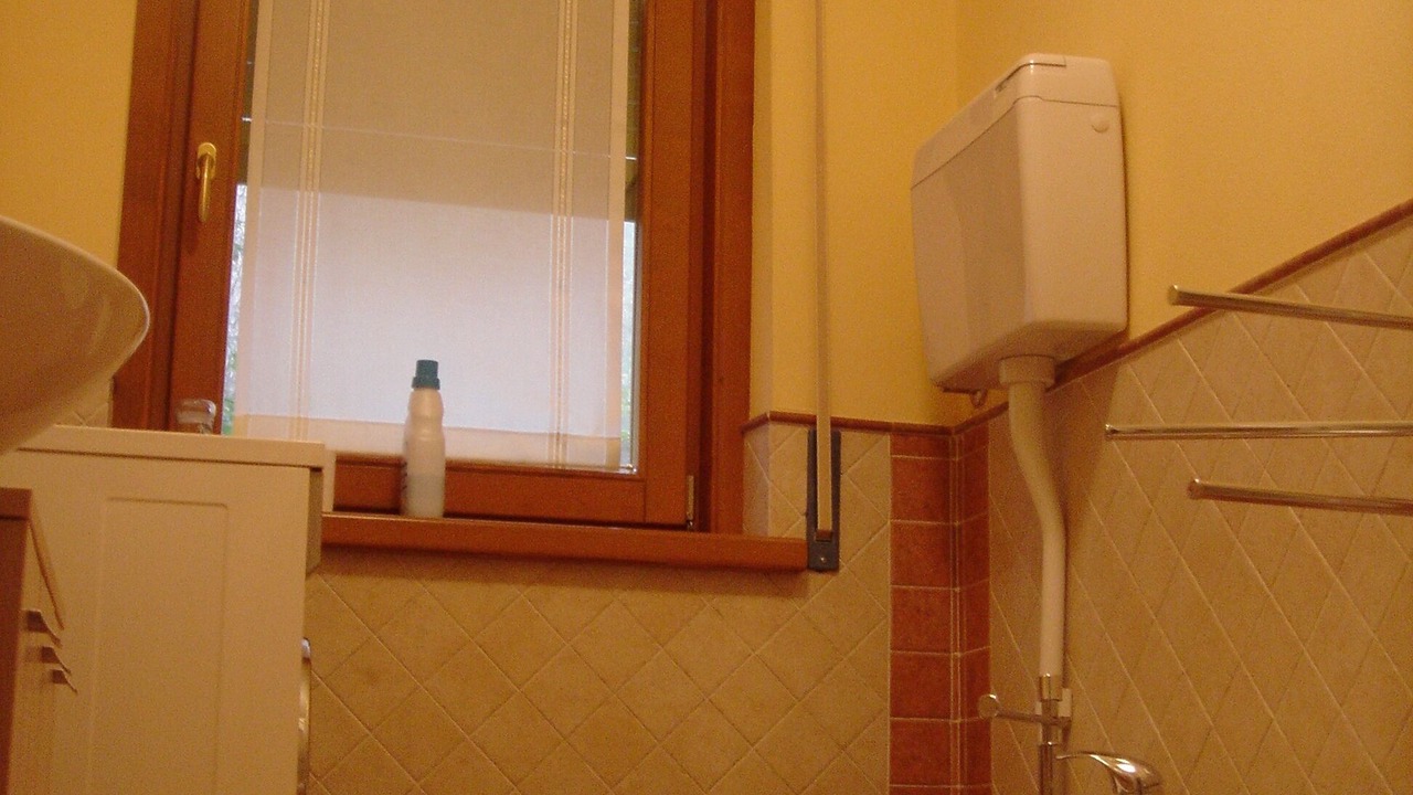 Photo of Bathroom in Zoppe di Cadore