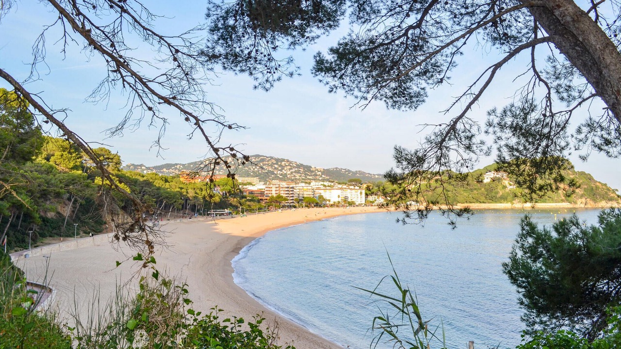 Photo of Others in Vidreres