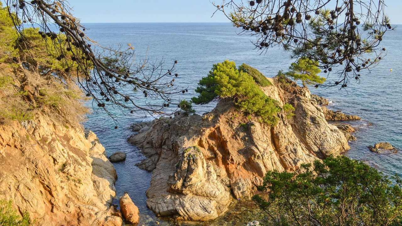 Photo of Others in Vidreres