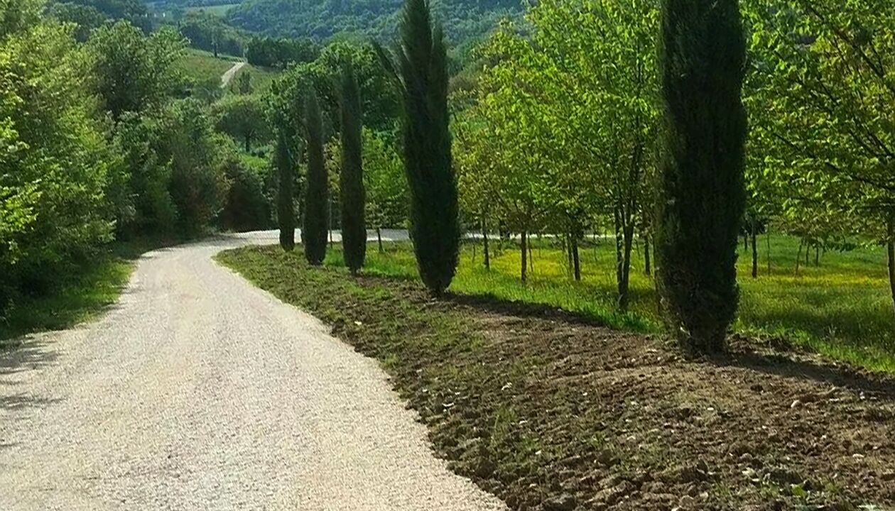 Photo of Others in Todi