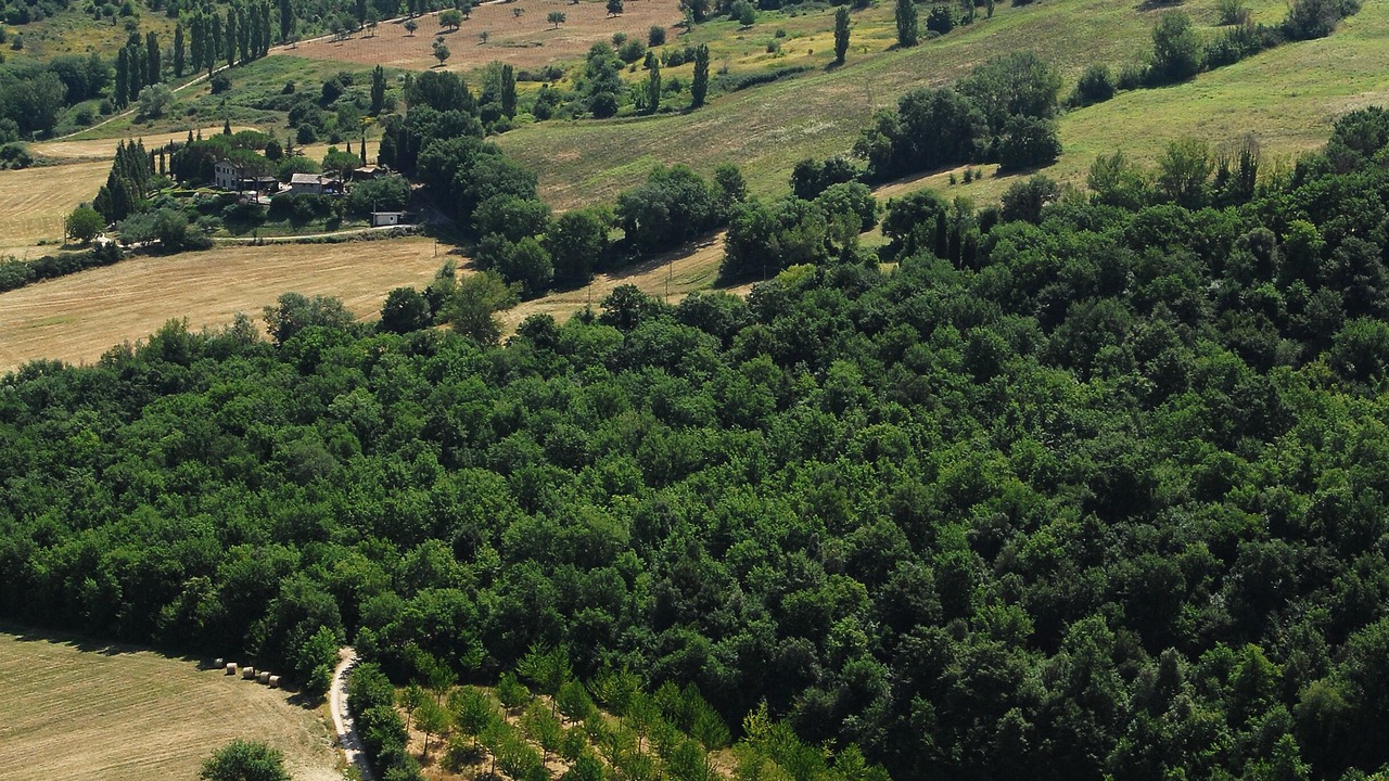 Photo of Others in Todi
