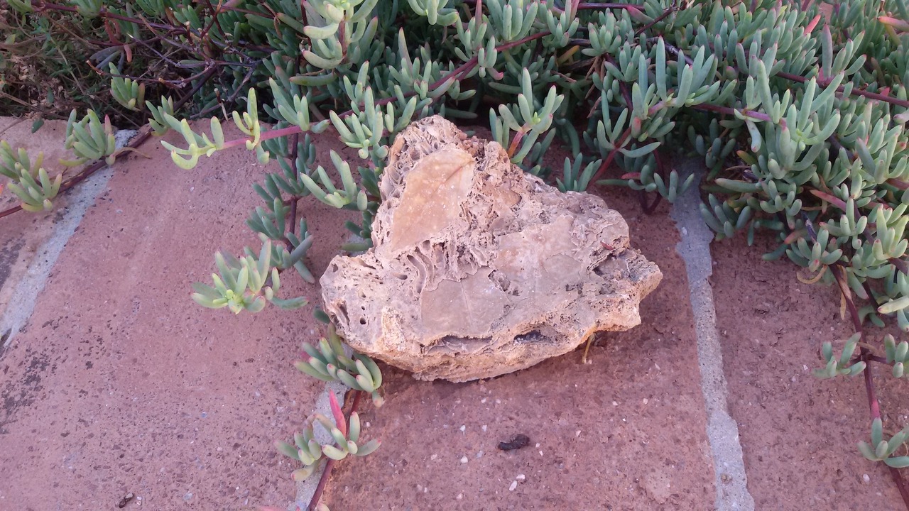 Photo of Outdoor in Almogia