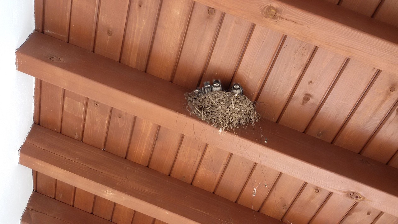 Photo of Others in Almogia