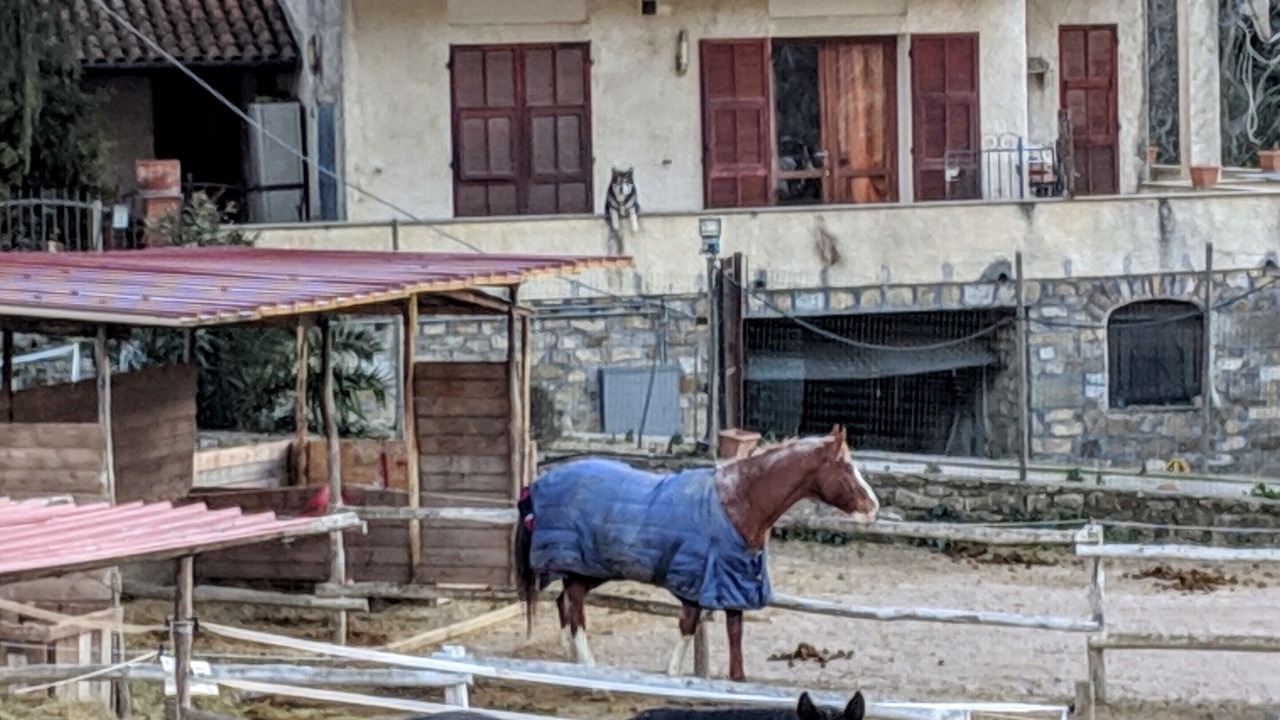 Photo of Others in San Bartolomeo al Mare