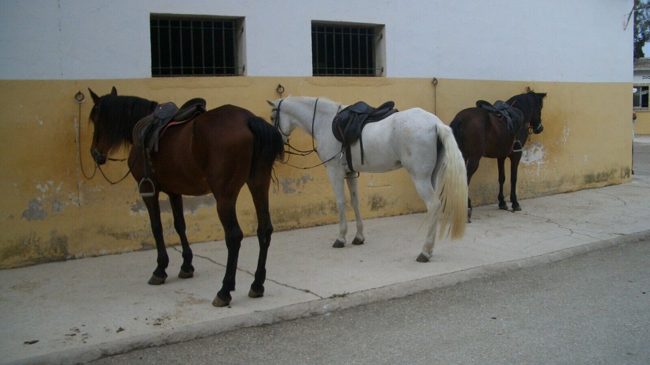 Photo of Others in Lo Rufete