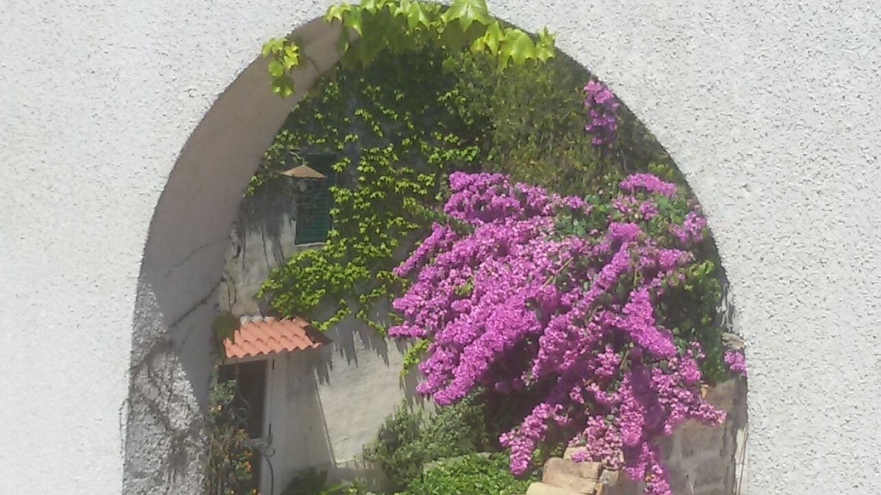 Photo of Outdoor in Province of Lecce