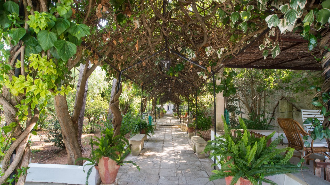 Photo of Outdoor in Province of Lecce