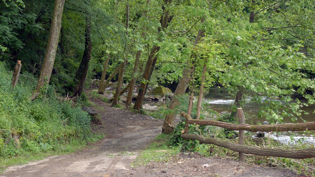 Photo of Outdoor in La Vall de Bianya