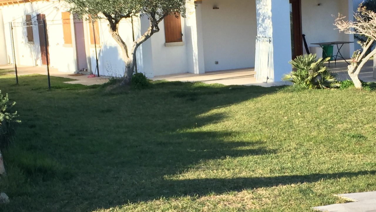 Photo of Outdoor in Porto Rotondo