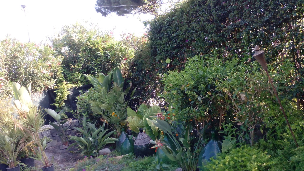 Photo of Outdoor in Aci Trezza