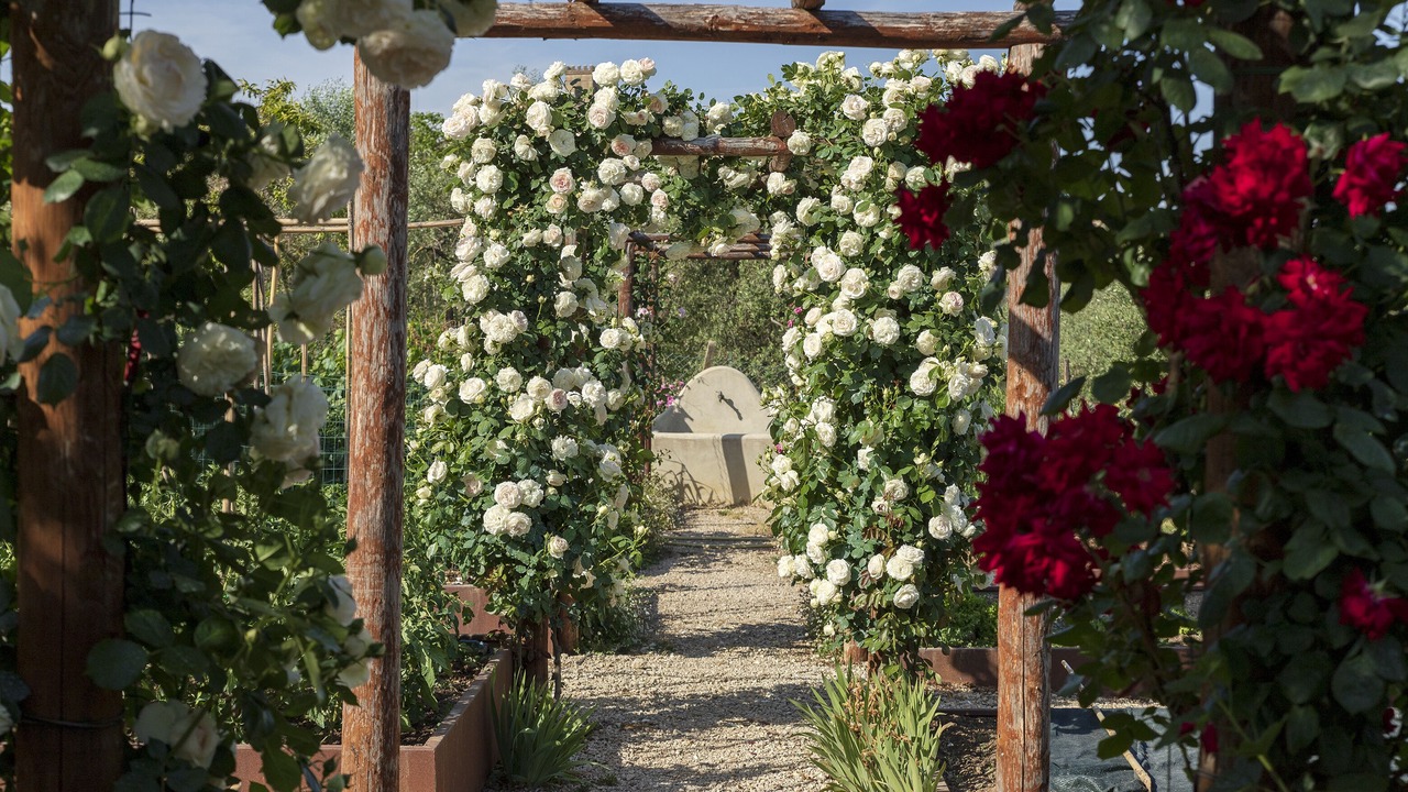 Photo of Outdoor in Avigliano Umbrio