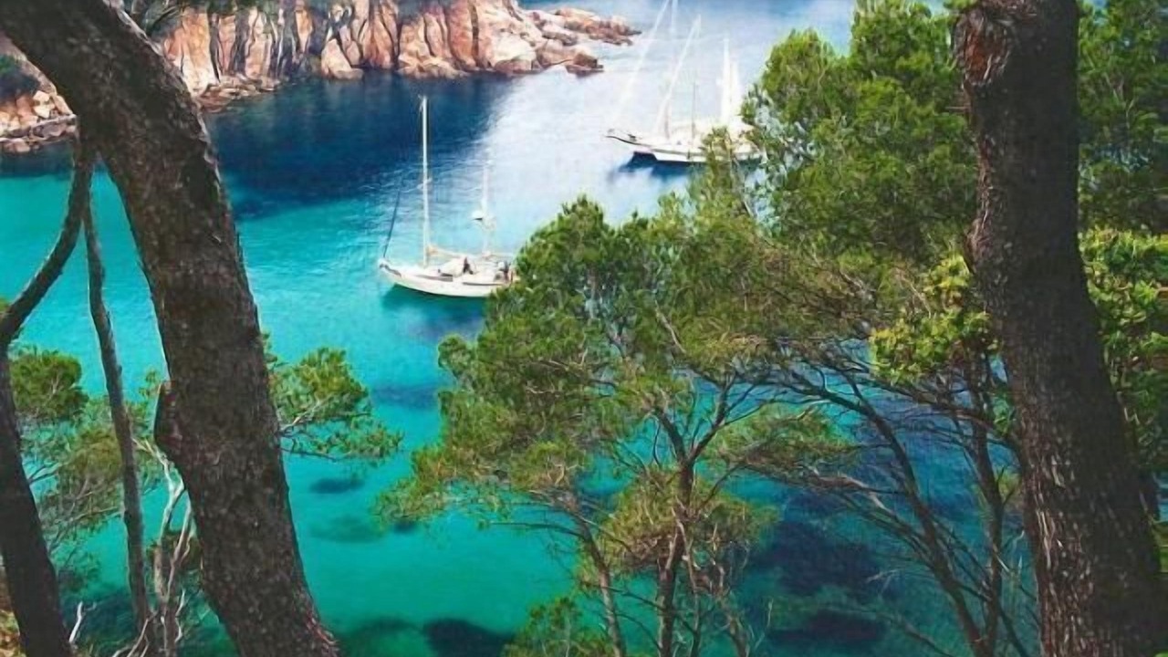 Photo of Others in Santa Margarida