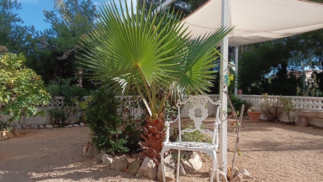 Photo of Outdoor in Bell Horizo