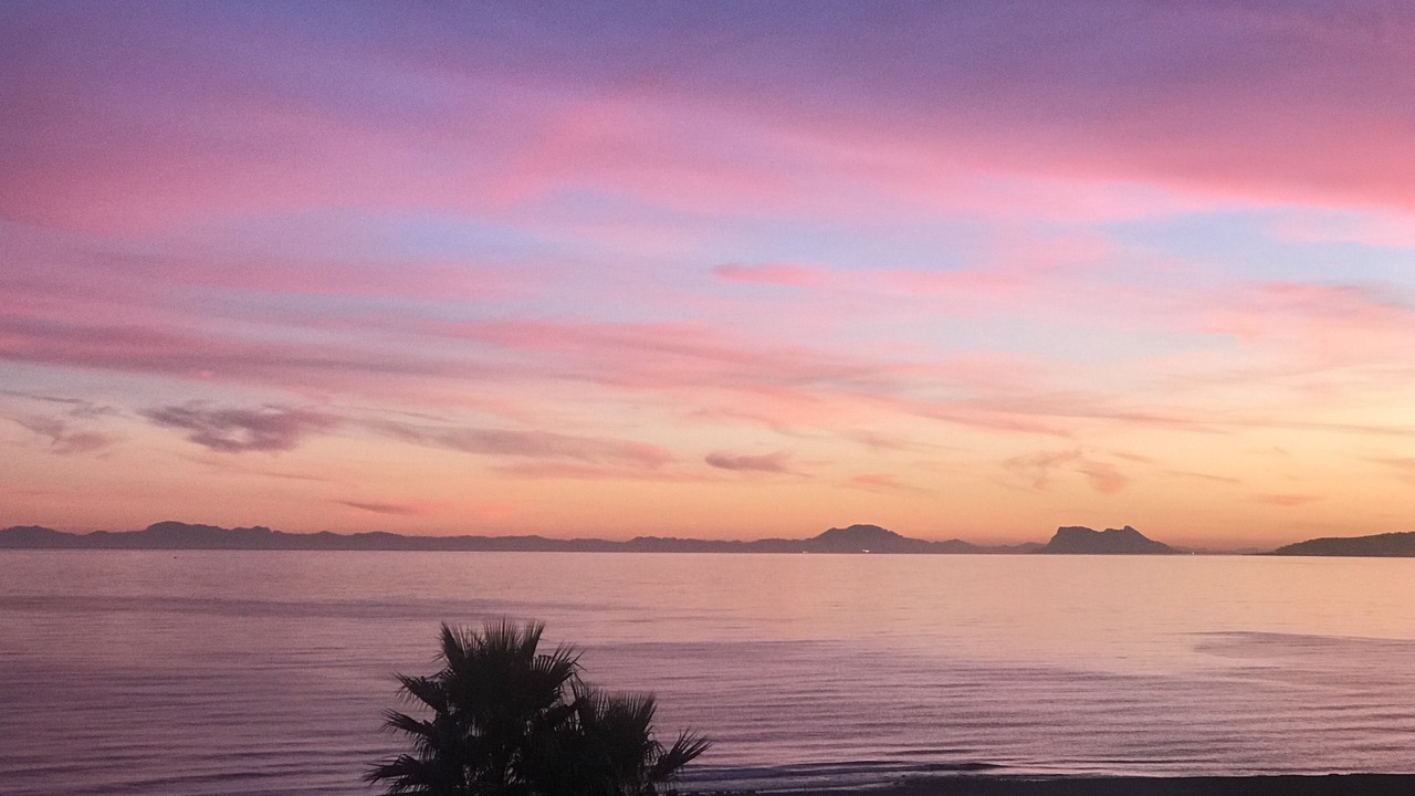 Photo of Others in Estepona