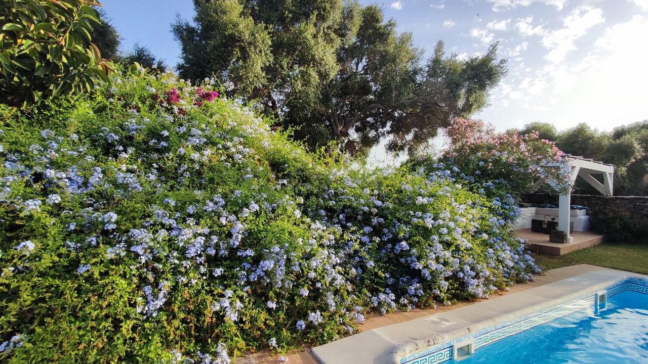 Photo of Outdoor in Zahora