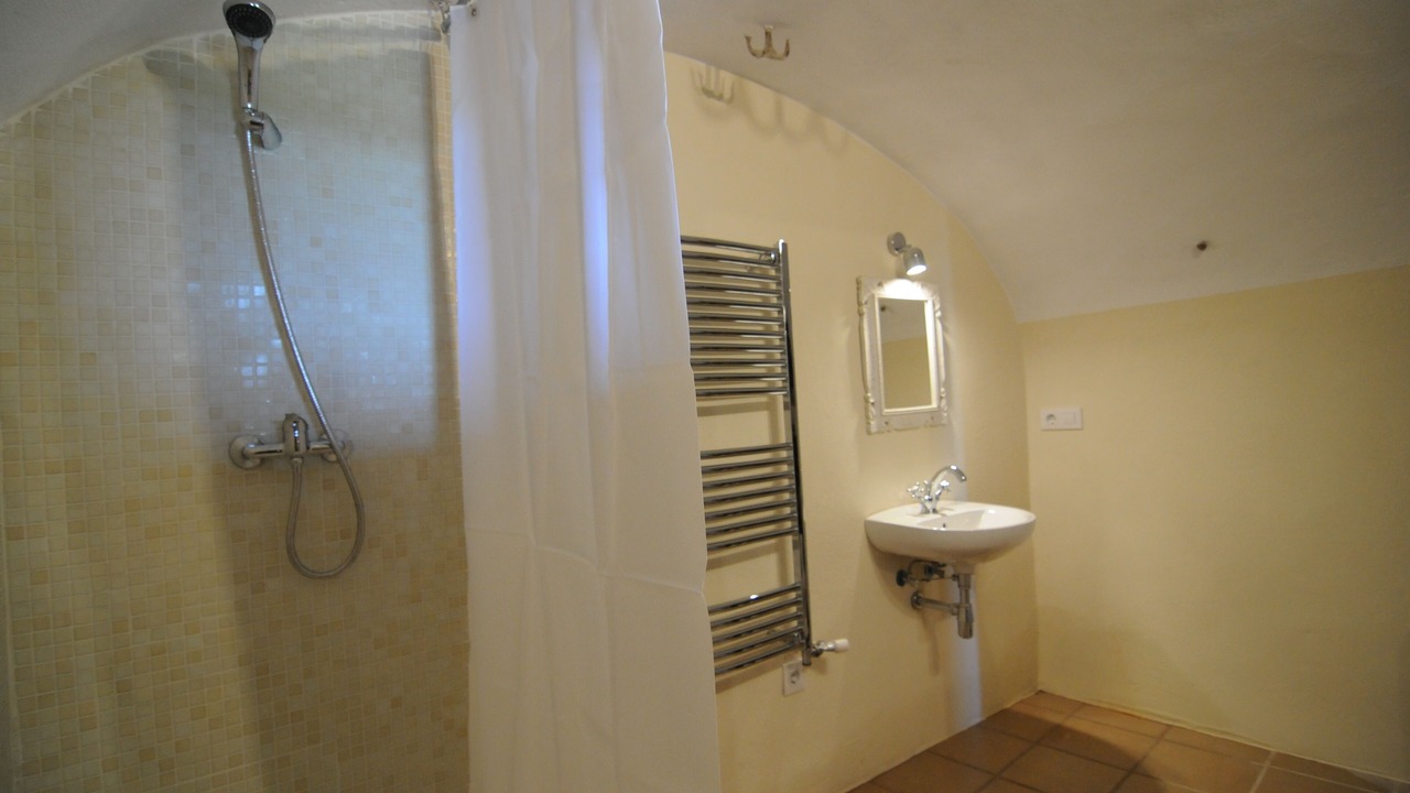Photo of Bathroom in Vilopriu