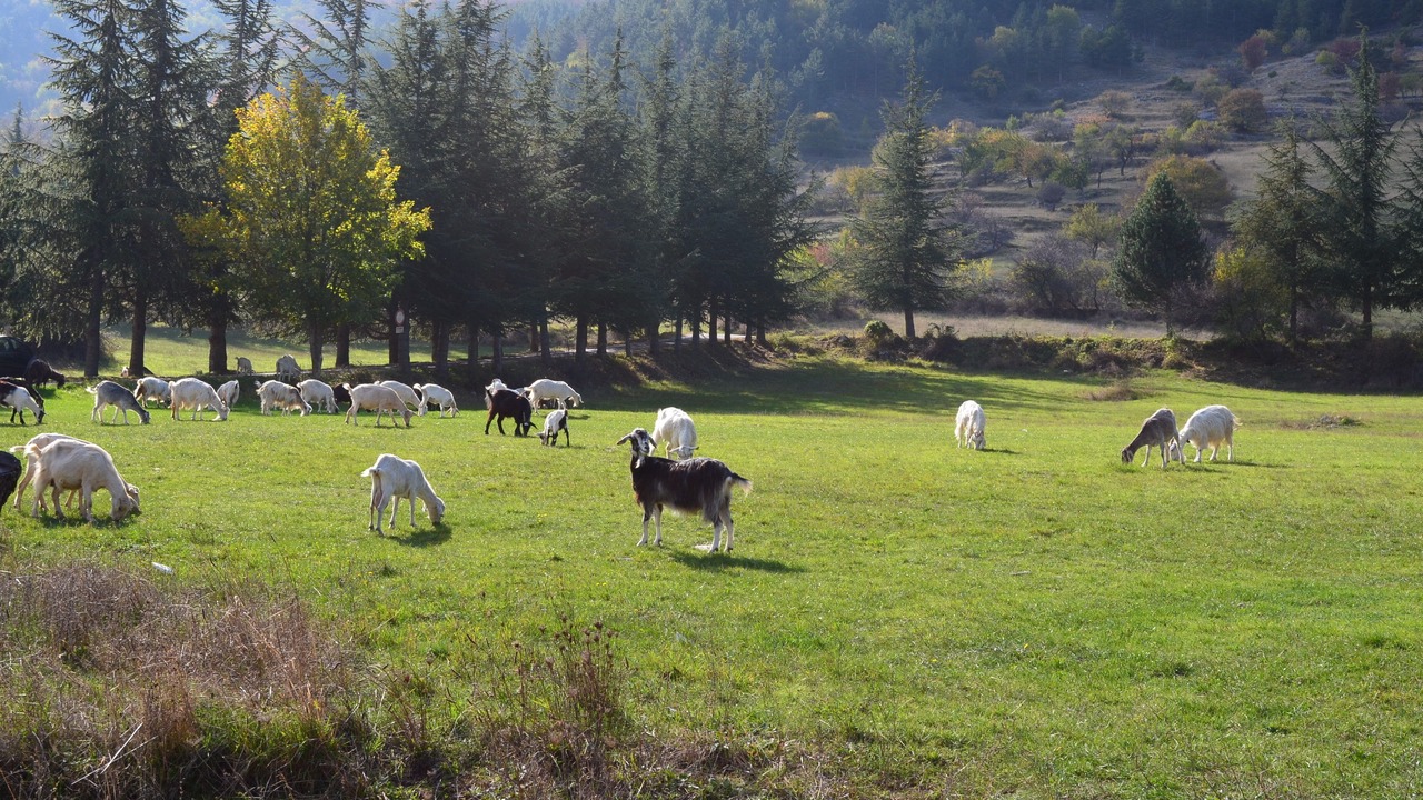 Photo of Others in Villalago