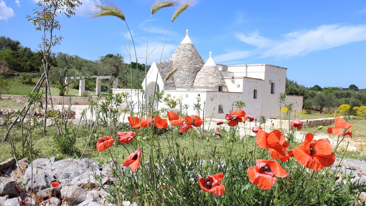 Photo of Others in Cisternino