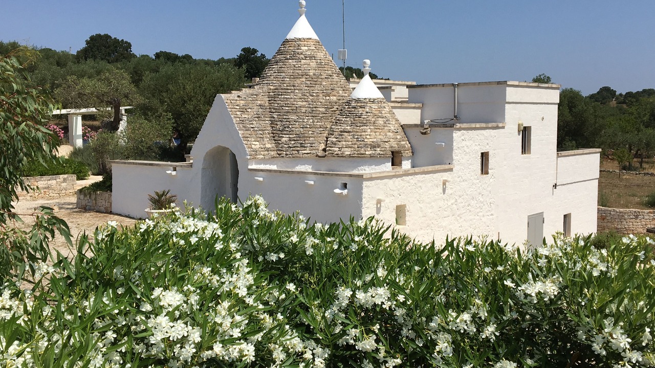 Photo of Others in Cisternino
