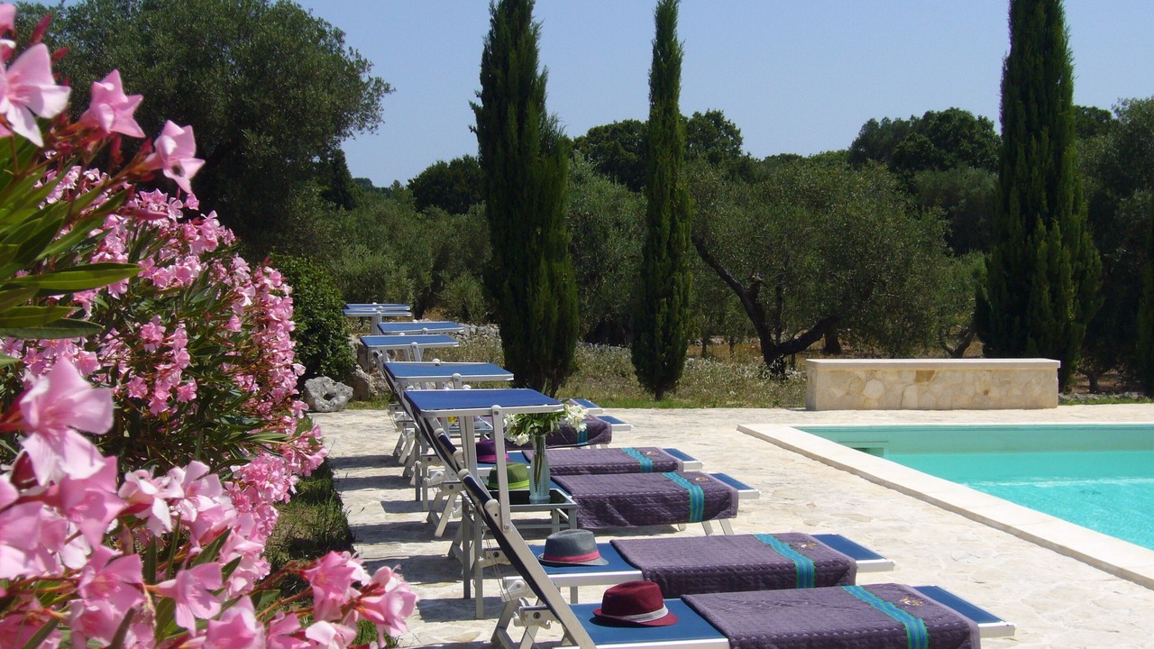 Photo of Others in Cisternino