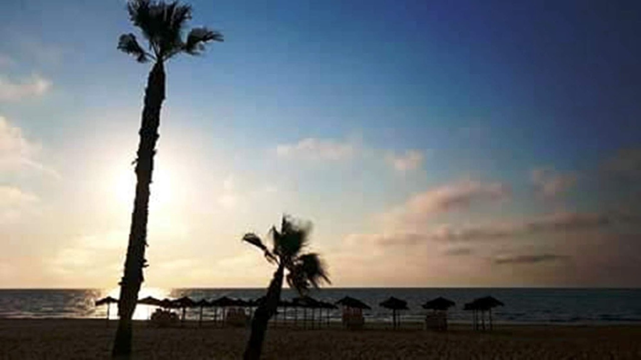 Photo of Others in La Mata
