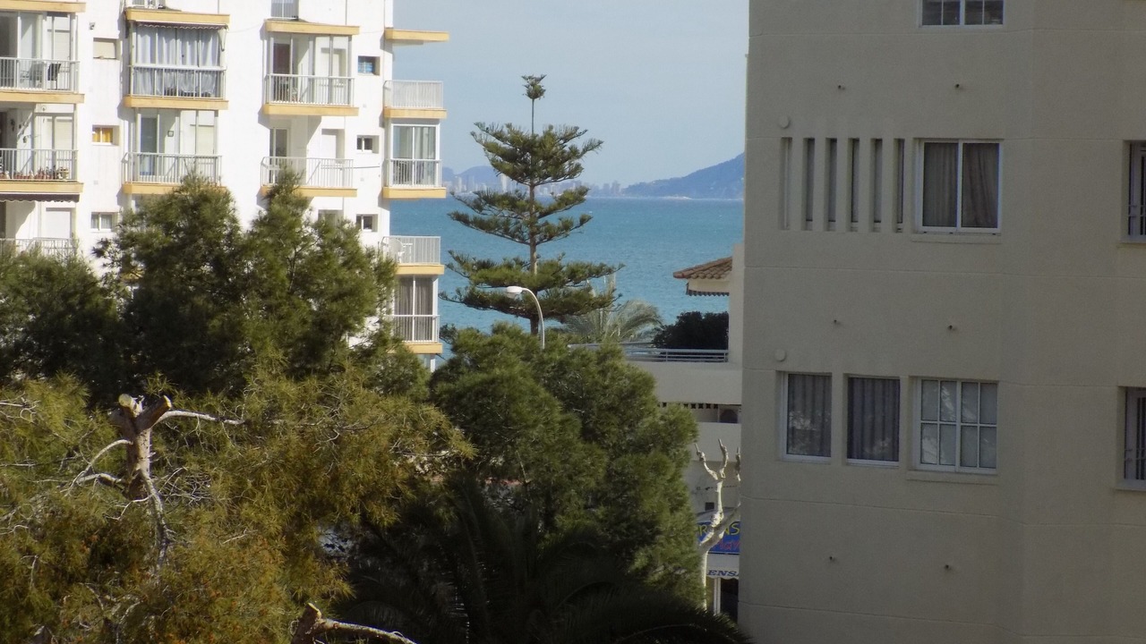 Photo of Outdoor in El Albir