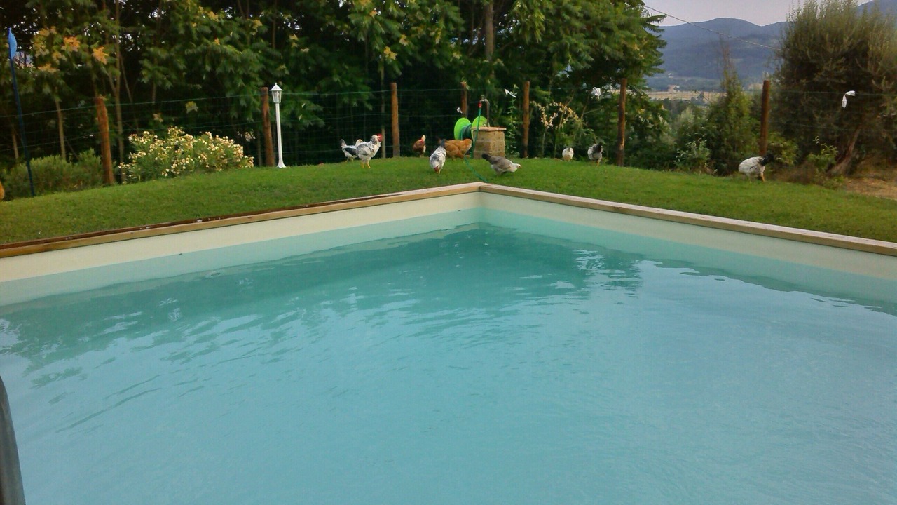 Photo of Outdoor in Montelovesco