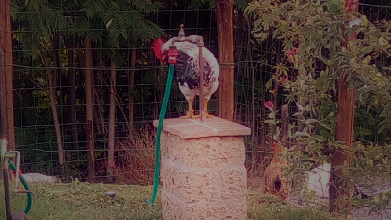 Photo of Outdoor in Montelovesco