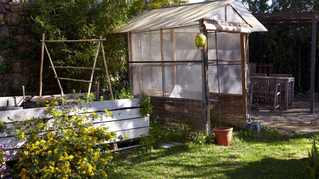 Photo of Outdoor in Matajudaica