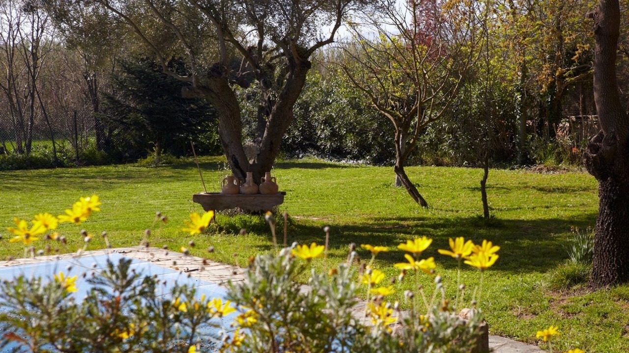 Photo of Outdoor in Matajudaica