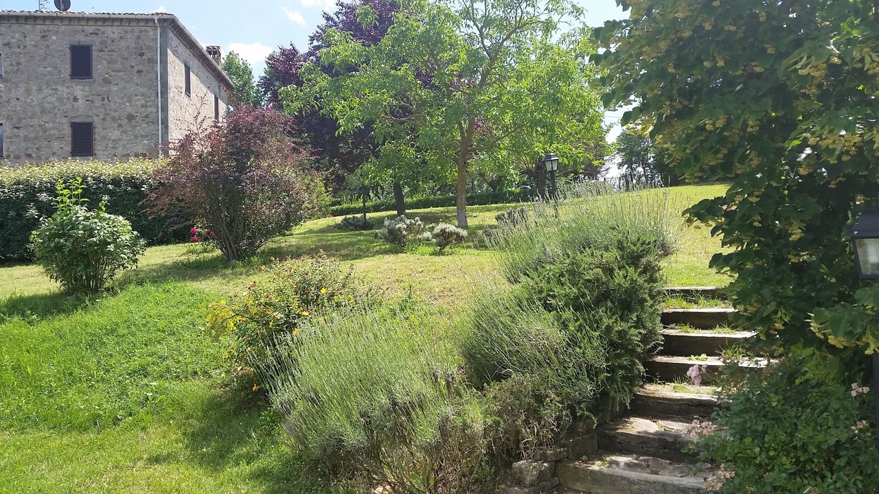 Photo of Outdoor in Pontecuti