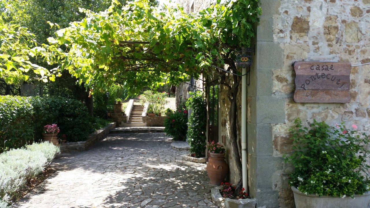 Photo of Outdoor in Pontecuti