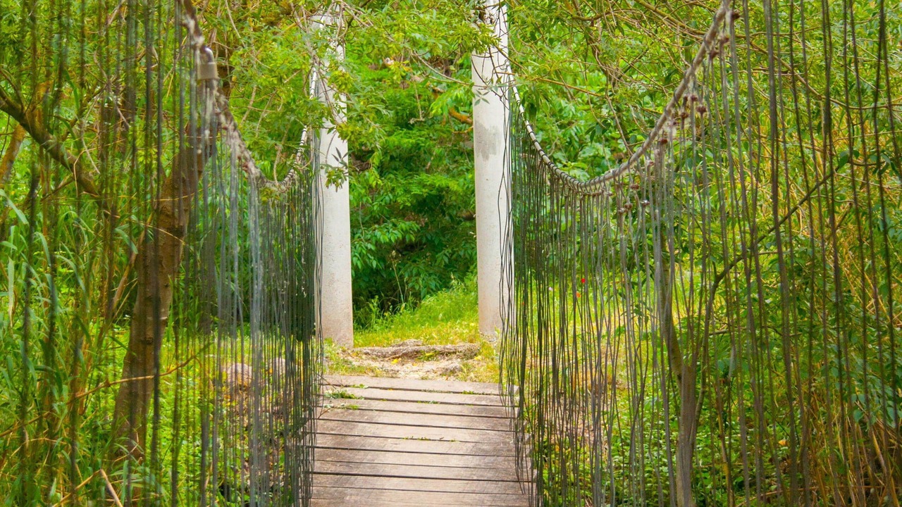 Photo of Outdoor in San Jorge